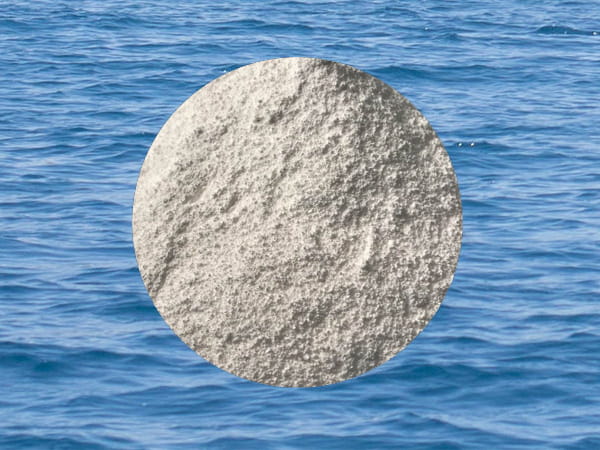 Sodium Benzoate powder, China, Factory, Manufacturer, Company 